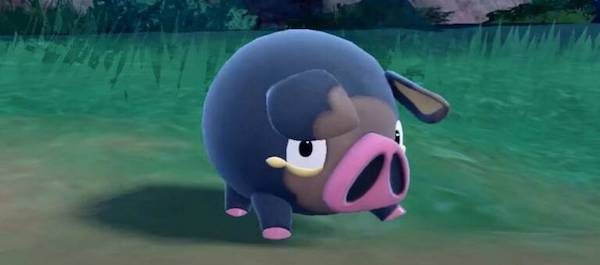 Lechonk Pokemon